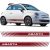 Abarth Oldaldísz dekormatrica, több színben