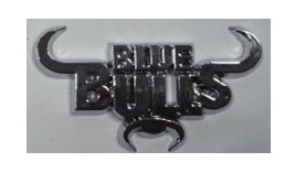 3D logo Buls logo